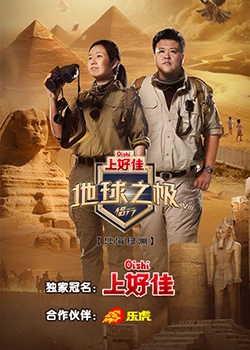 桐城seo优化哪家性价比高